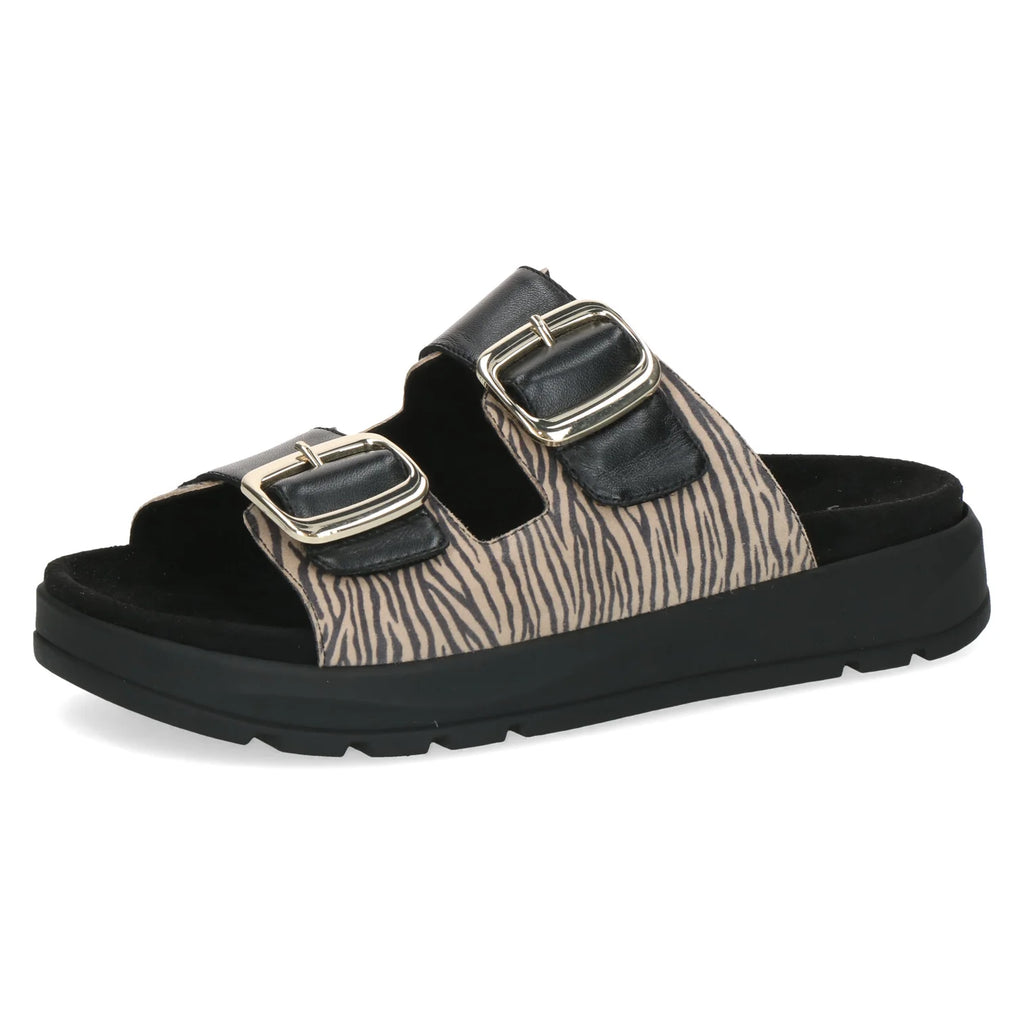 BEIGE ZEBRA