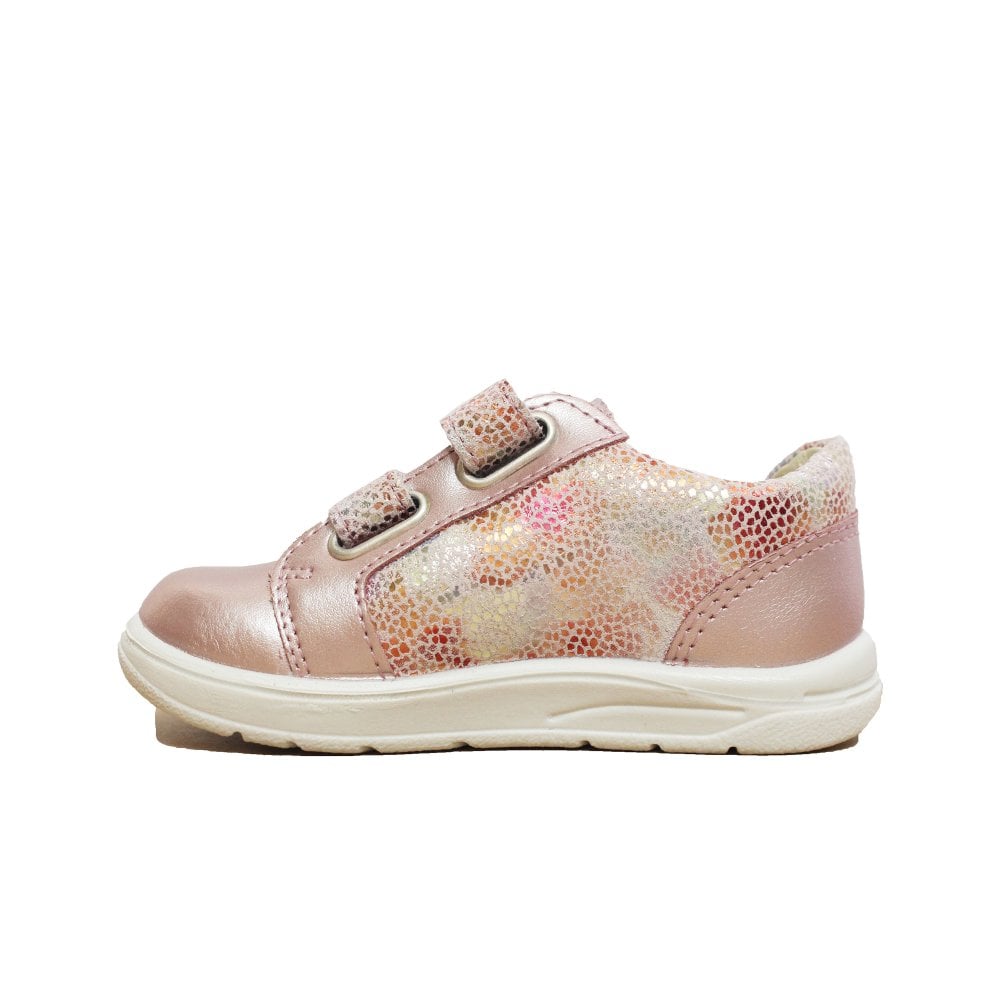 Ricosta jasmine rose