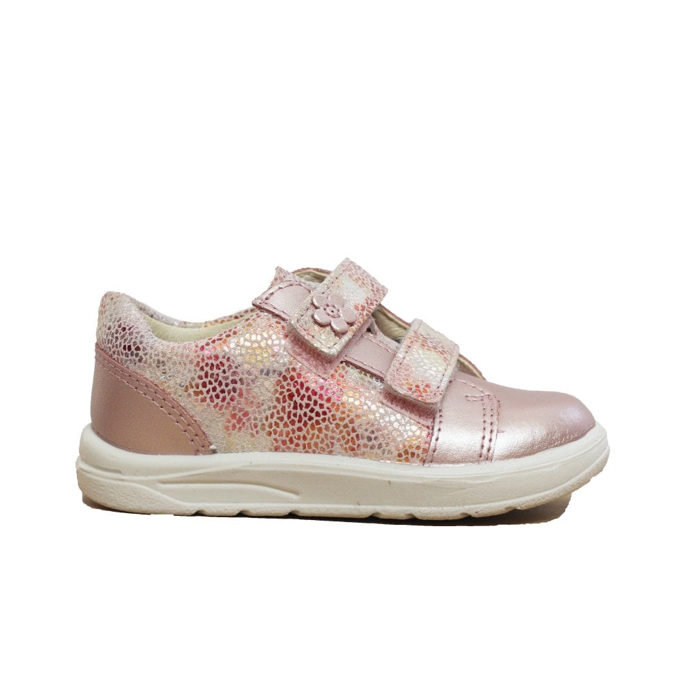 Ricosta jasmine rose